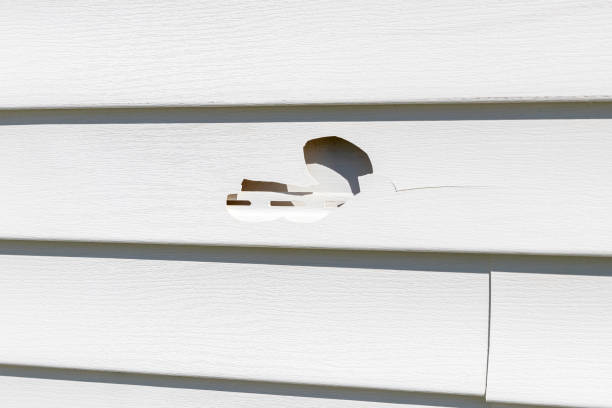 Best Construction Debris Removal  in Moodus, CT