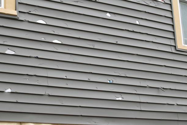 Best Dumpster Rental Services  in Moodus, CT